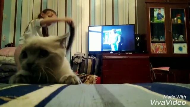 Супер прыжки Пуни. Это невероятно! Вау!