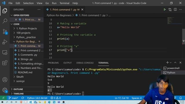 How to use Print Command in Python