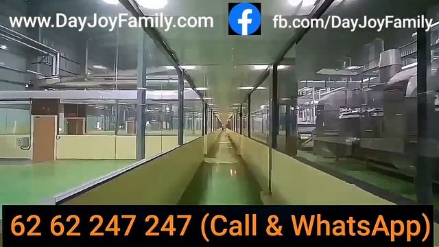 DayJoy Family Company Profile Contact 62 62 247 247