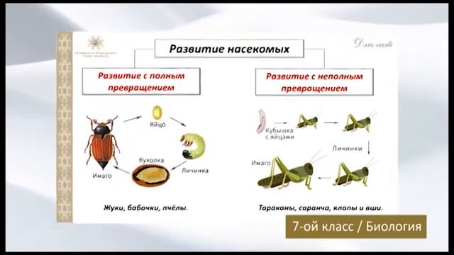 “Dərs Vaxtı”: 7-ci Sinif Dərsləri ( Rus Bölməsi) (08.04.2021)