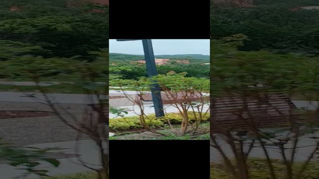 г. Владивосток, ул. Полковника Фесюна