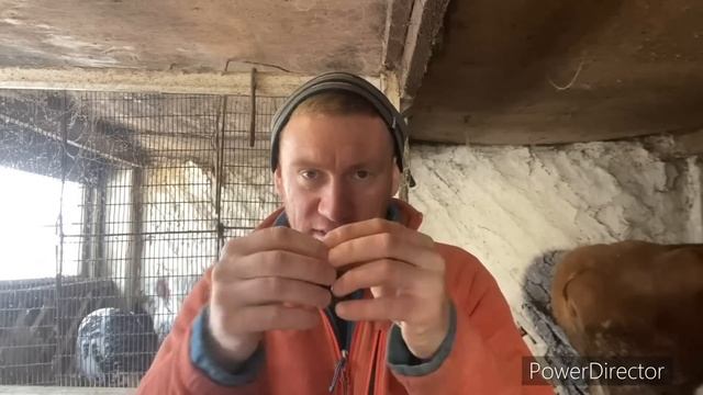 ШОК!!! ??? ЕДЯТ БЕЗ НОРМЫ И ЖИВЫ??? КАК ТАК???