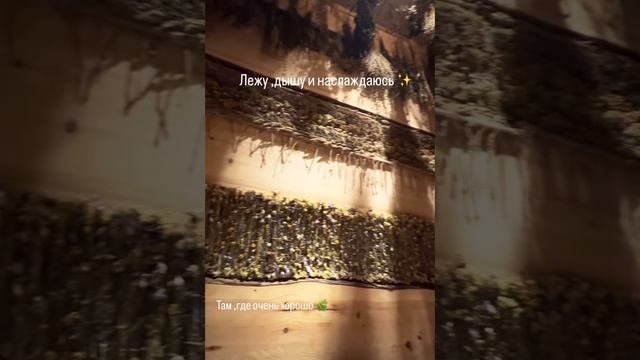 Атмосфера: Зепюр Брутян показала как проводит время с Павлом Прилучным