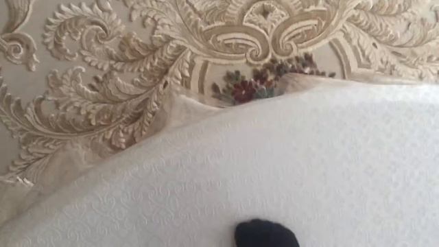 Катание на гироскутере