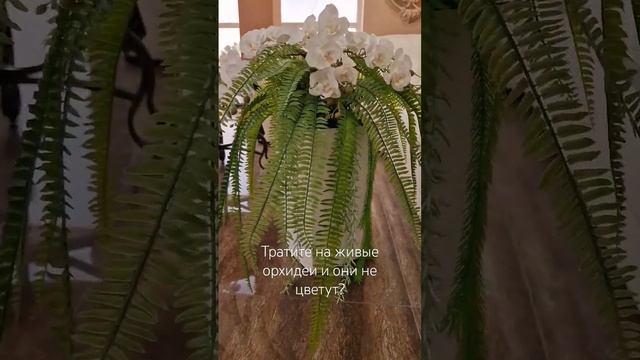 Орхидеи их латекса без полива и ухода. Доставка по РФ #новороссийск #искусственныецветы