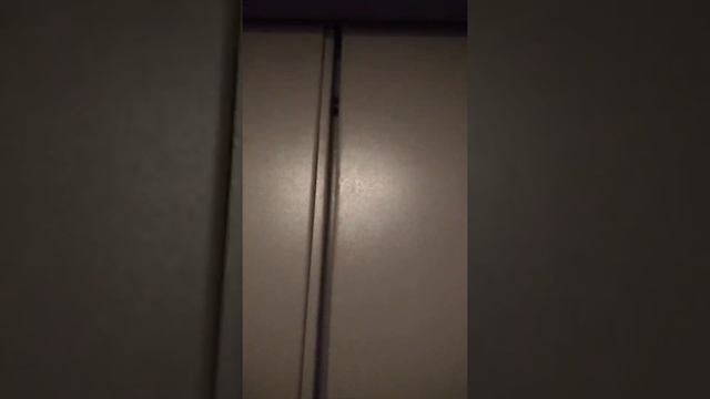 Очень маленький пассажирский лифт по адресу: Малый пр. П.С. 60 п.1 (6 этажей )