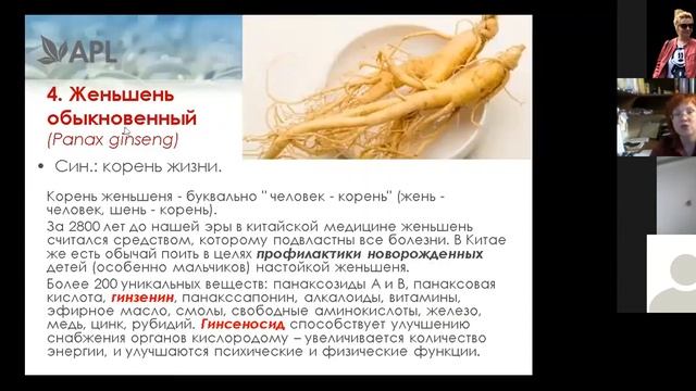 APLGO, Э.Супрун про BRN и GTS продукт APL