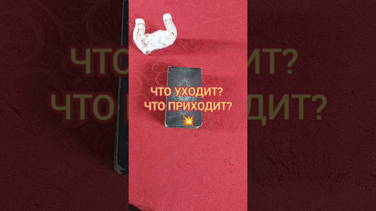 Как Поменяется Ваша Жизнь?#shorts #тароонлайн #чтоожидает +7 960 371 94 95  SMS Ватсап Телеграм