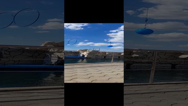 Дельфинарий  Утриш Анапа Жужа