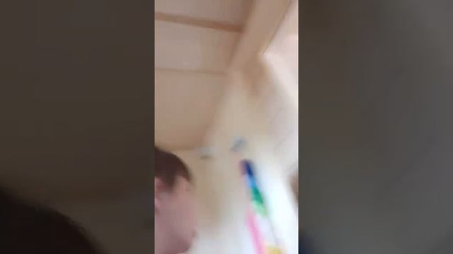 Я бросаю камни в птичьи яйца