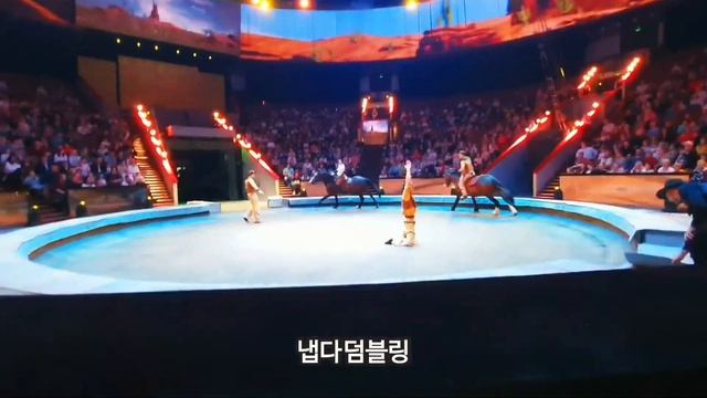 불곰국 VLOG I 서커스 2탄! ? 호랑이 재롱과 묘기! 볼쇼이 서커스장 #러시아일상#서커스