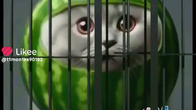 мем