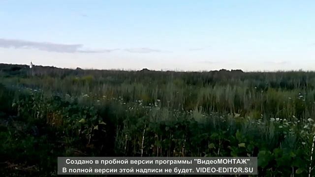 Курские просторы