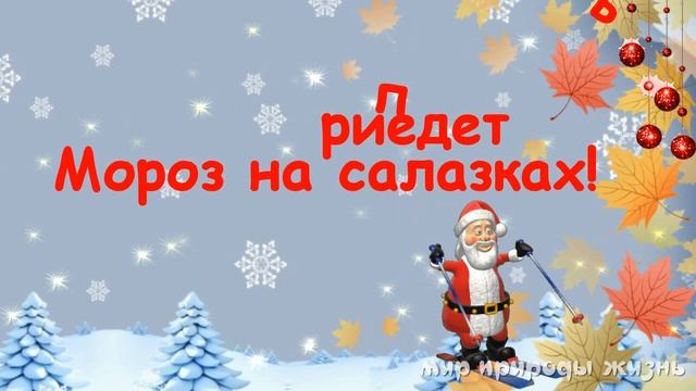 18 НОЯБРЯ родился дедушка мороз