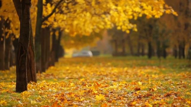 Ondřej Fencl - Všetečky - Díl I. (ft. Pavla Limmlová)