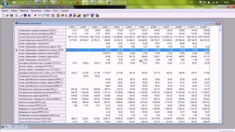 Урок 6 Анализ проекта Часть 2 Видеокурс Project Expert Сквозной пример