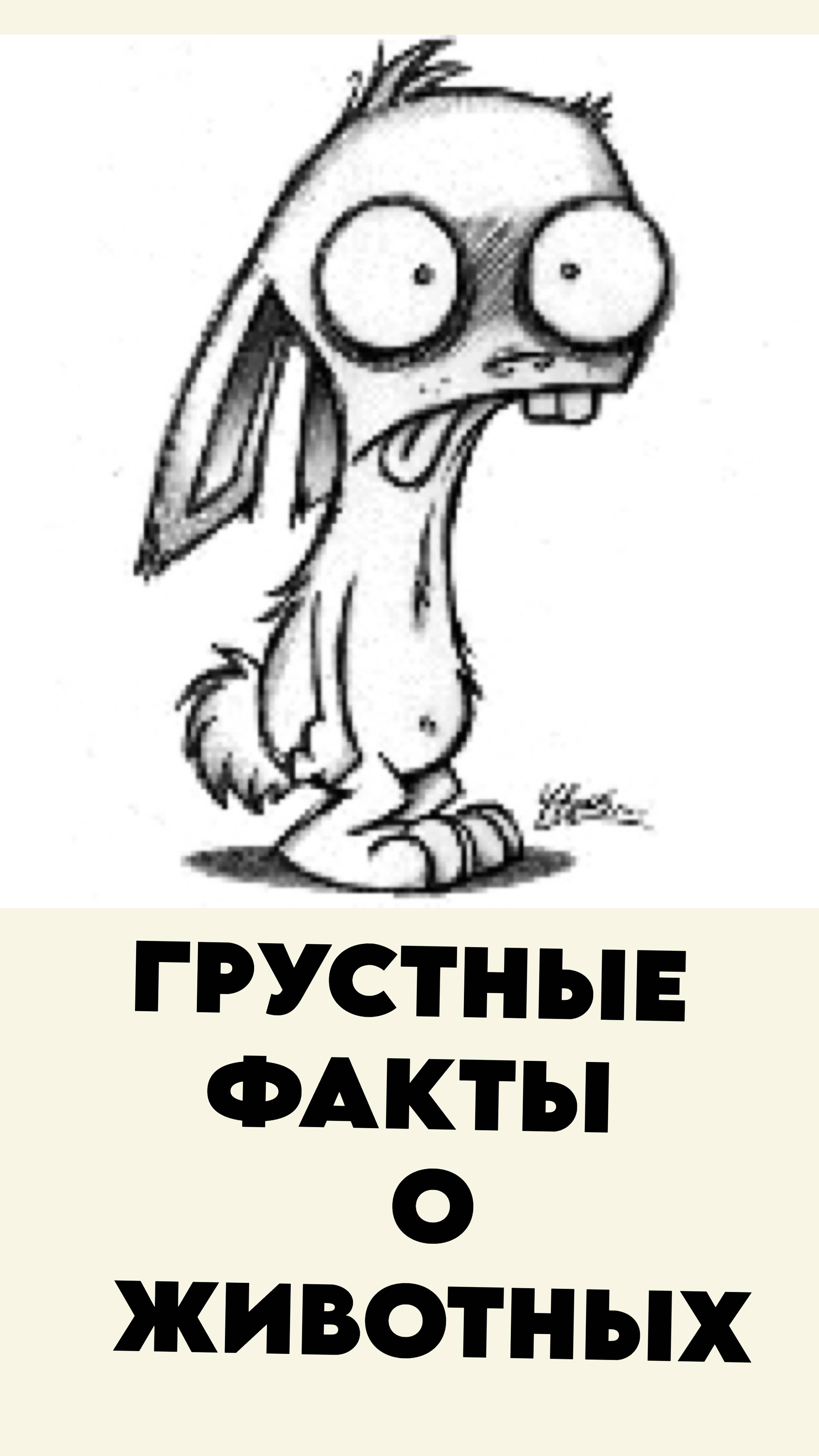 Грустные факты о животных 4