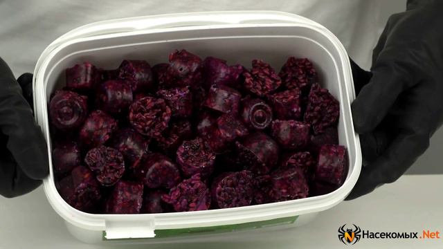 Средство от мышей, крыс и грызунов DEZUS (Дез (твердые парафинированные брикеты). Уничтожение мышей.