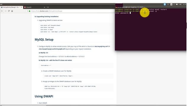 DWAPI Installation on Ubuntu environment using Docker
