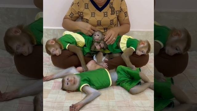 I'm Sleepy, Mom!! Brother Sovan Big Mouth Yawning Very Sleepy Ask Mom To Fast Comforting Him,