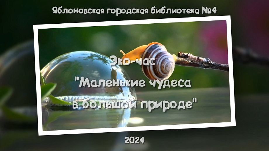 Эко-час «Маленькие чудеса в большой природе». ЯГБ №4