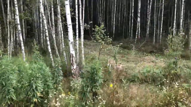 Участок 420
