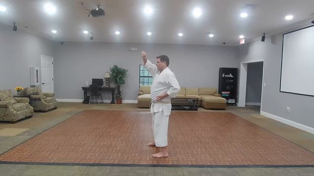 Northwood Karate Club - Kihon 1 - Intro to arm techniques