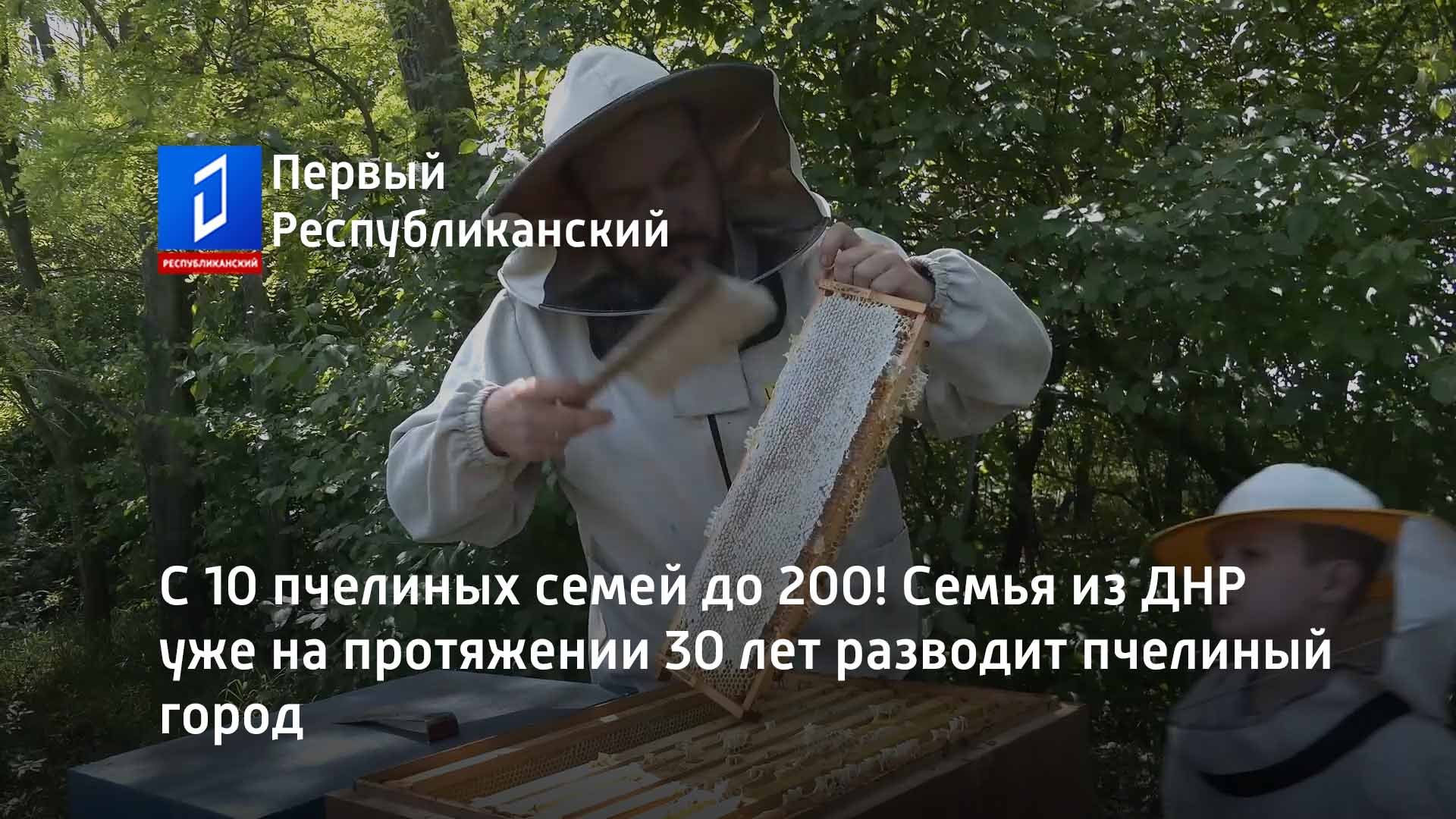 С 10 пчелиных семей до 200! Семья из ДНР уже на протяжении 30 лет разводит пчелиный город