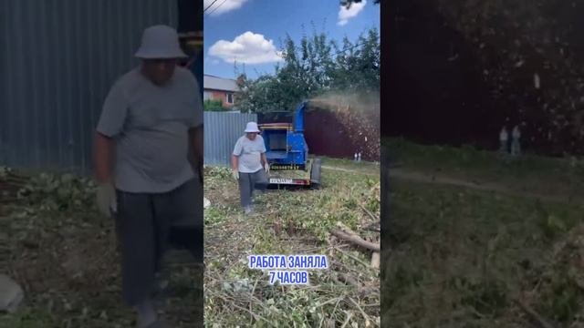 Расчистка участка и дробление веток