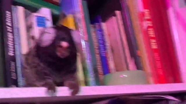 Смотрится просто кошмарно! Хорошо, размер невелик!
