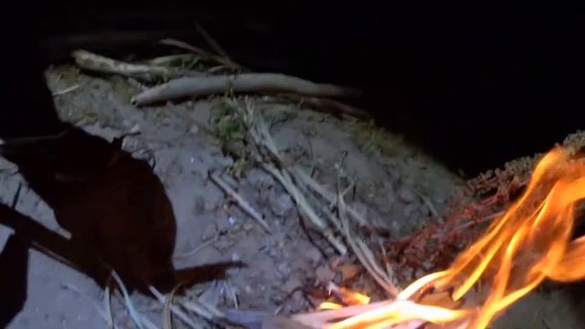 Рыбалка на Дону с ночевкой июль 2020. We missed all the carp Overnight Fishing July 2020