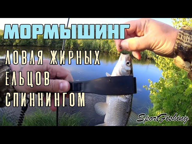 Мормышинг. Ловля жирных ельцов с поверхноси на ультралайт и микроприманки MATAGI TWA 662 XUL