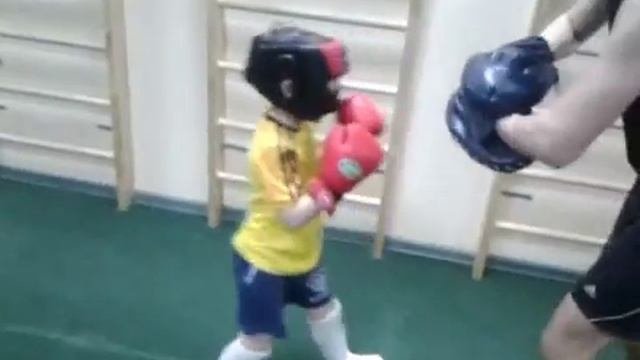 Мои первые шаги в бокс