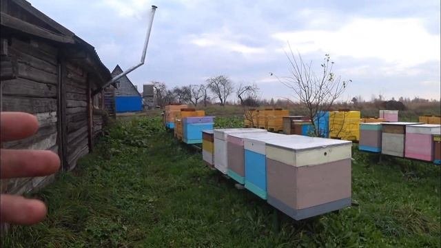 Зачем плёнка на ульях Биненхаус