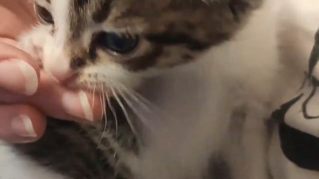 Молоко на губах не обсохло??❤