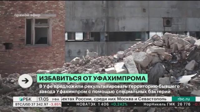 В Уфе предложили рекультивировать территорию бывшего завода Уфахимпром с помощью спецбактерий