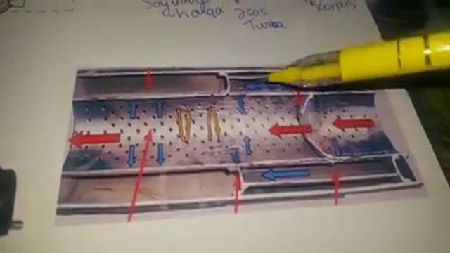 Masinin katalizotoru haqqinda maraqli melumat.