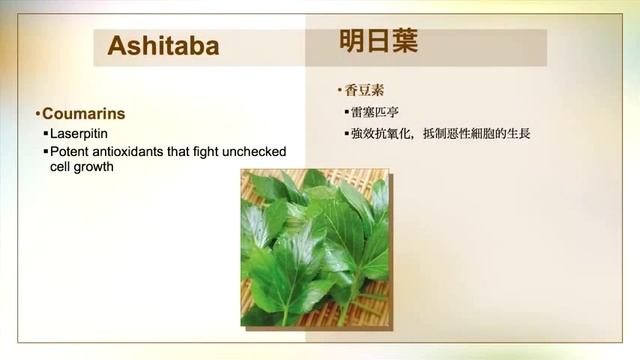 Orchestra Product Introduction - by Dr. Jau-Fei Chen 2013