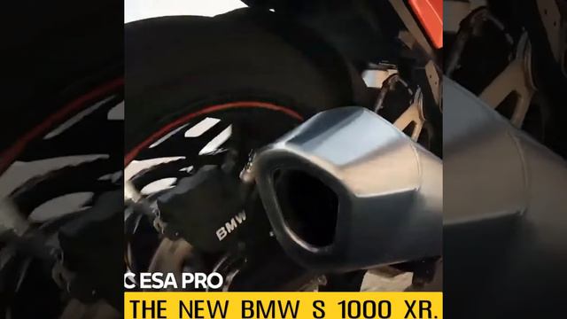 THE NEW BMW S 1000 XR.#shorts