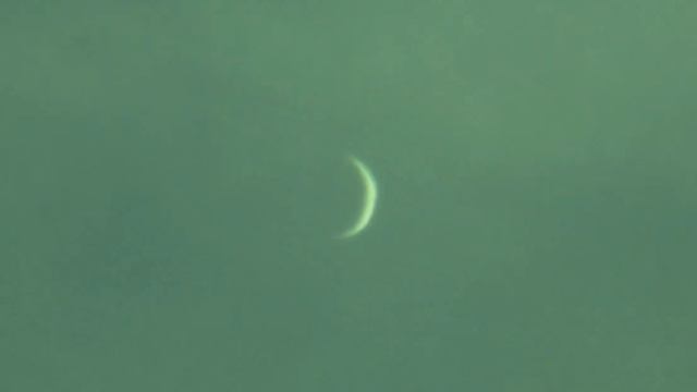 Дневная Венера 22.07.2023 в 150-мм телескоп-рефлектор.