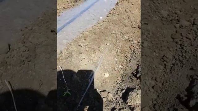 Плёнкоукладчик  на мотоблок .