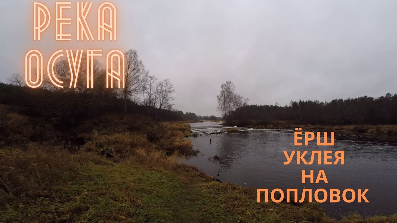 Ловили на все))) Уклейка и царь водоема на поплавочную удочку.mp4