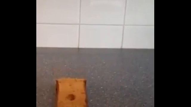 Хлеб смешно падает 10 часов