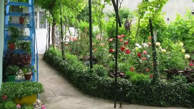 Крым отдых в частном секторе недорого. Кратко о Николаевке