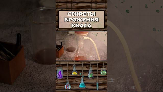 Секреты брожения КВАСА