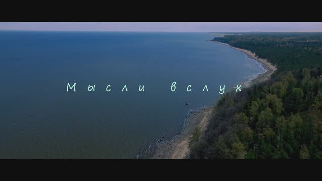 Мысли вслух