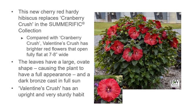 2023 New Varieties