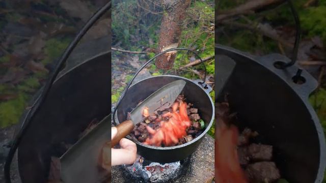 Camp Fire Cooking‼ Forest Stew... how to stay warm this winter 😉ASMR #nature #forest #campfire #ste