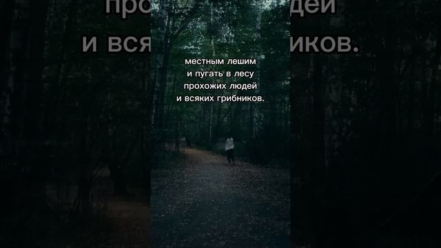 Зато дешево и свежий воздух | Shorts