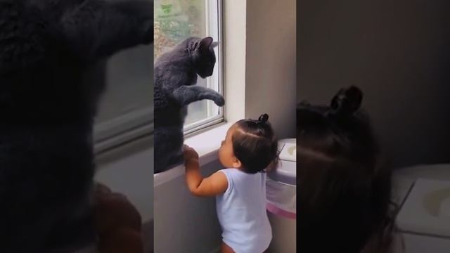 Первый кот успокоил??